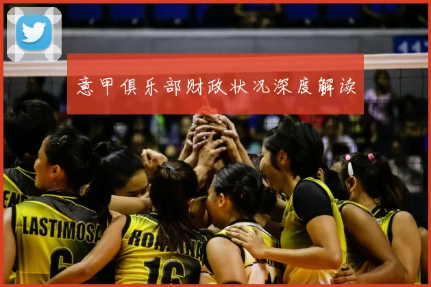 意甲俱乐部财政状况深度解读